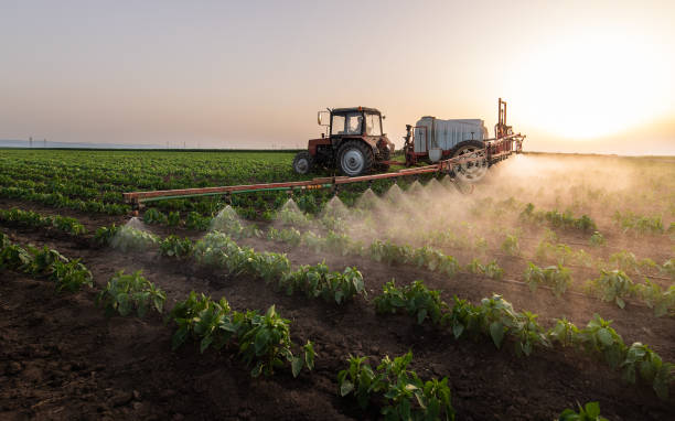 Best Mosquito Control Services  in Sandston, VA