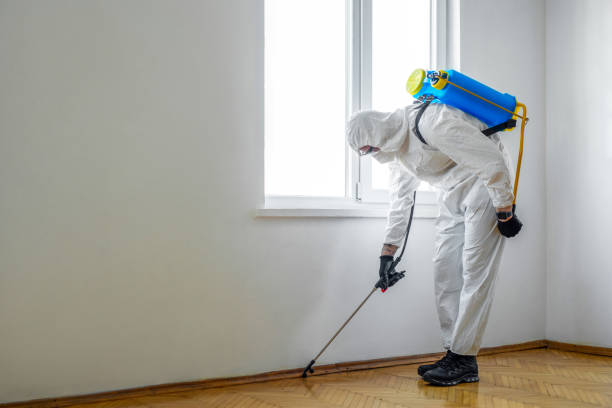 Pest Prevention Services in Sandston, VA