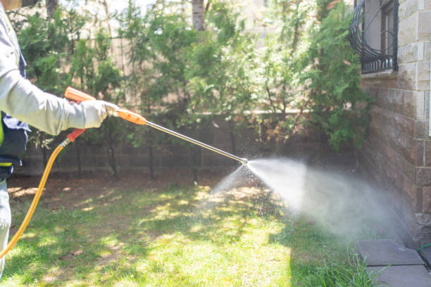 Trusted Sandston, VA Pest Control Experts