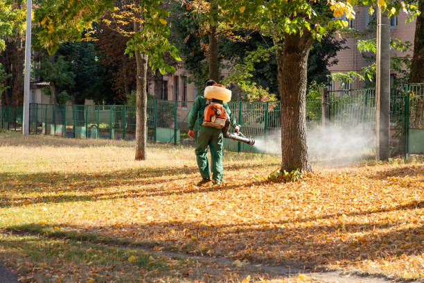 Best Exterminator Services  in Sandston, VA