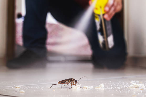Pest Prevention Services in Sandston, VA