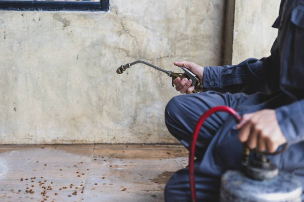 Best Best Pest Control Companies  in Sandston, VA